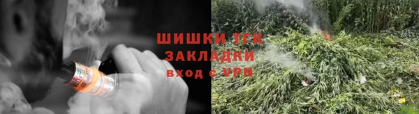 ECSTASY Кукмор