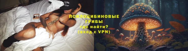 стафф Михайловка