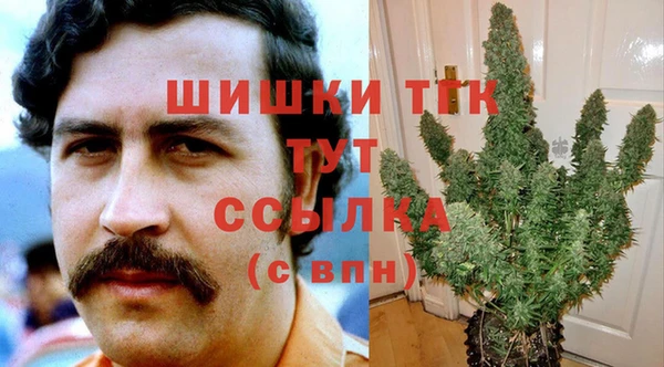 МДПВ Кулебаки