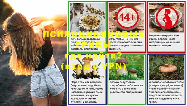 ECSTASY Кукмор