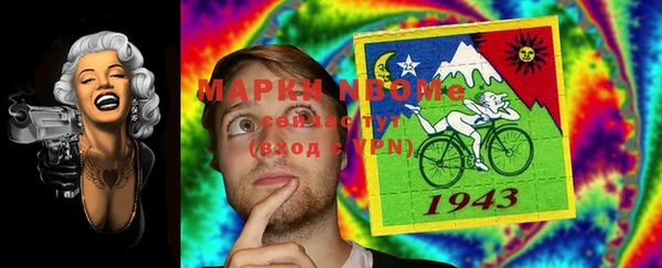 ECSTASY Кукмор