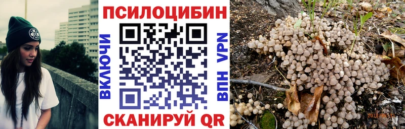 Псилоцибиновые грибы GOLDEN TEACHER  Купить закладки  Ветлуга 